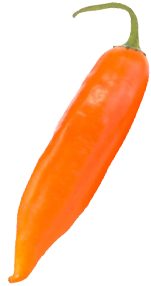 aji-amarillo