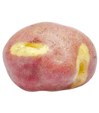 papa-amarilla